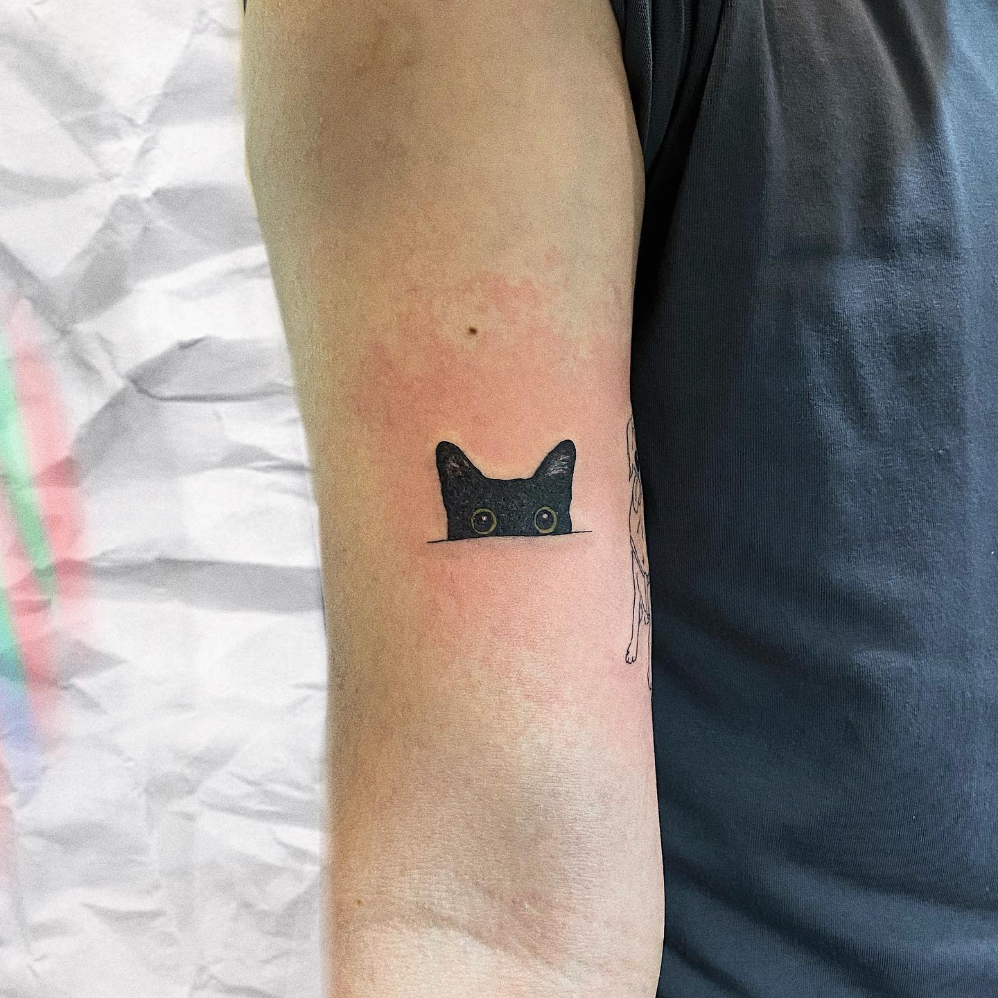 Cat Micro Tattoos-ecstacytat2s Cat Micro Tattoos-ecstacytat2s