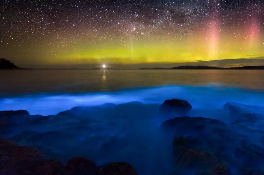 Milky Sea Phenomenon