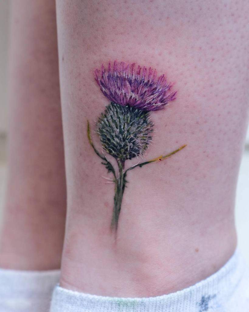 A tattoo of a purple thistle on a lower leg