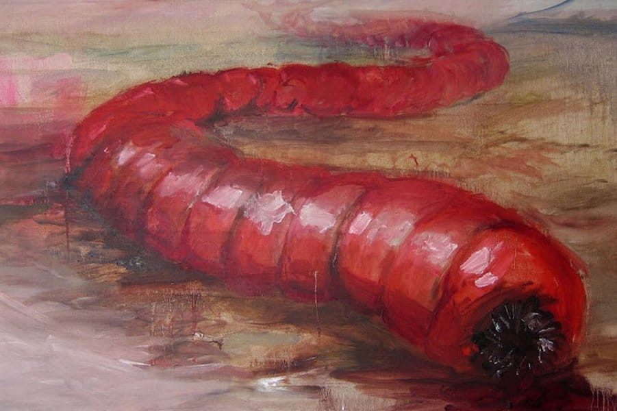 Mongolian Death Worm