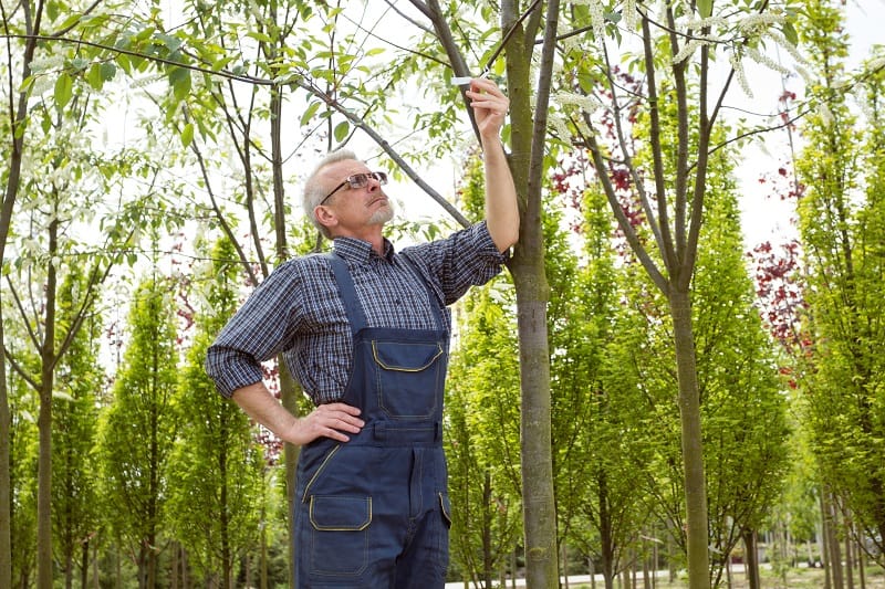 Nursery Manager - Best Outdoor Jobs For Outdoorsmen