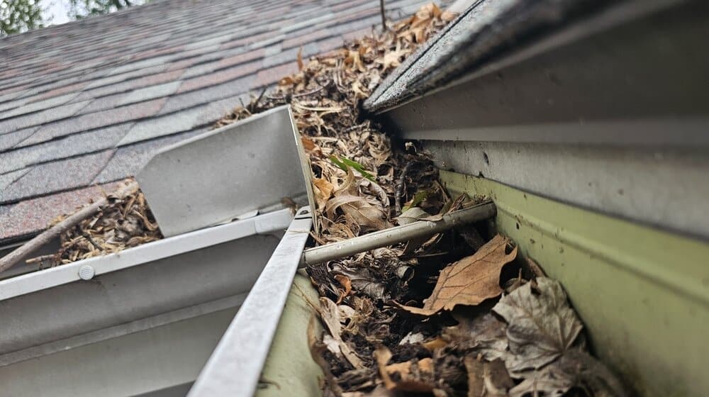 Close-up of a house gutter filled with dry leaves and debris, showing the need for cleaning and maintenance