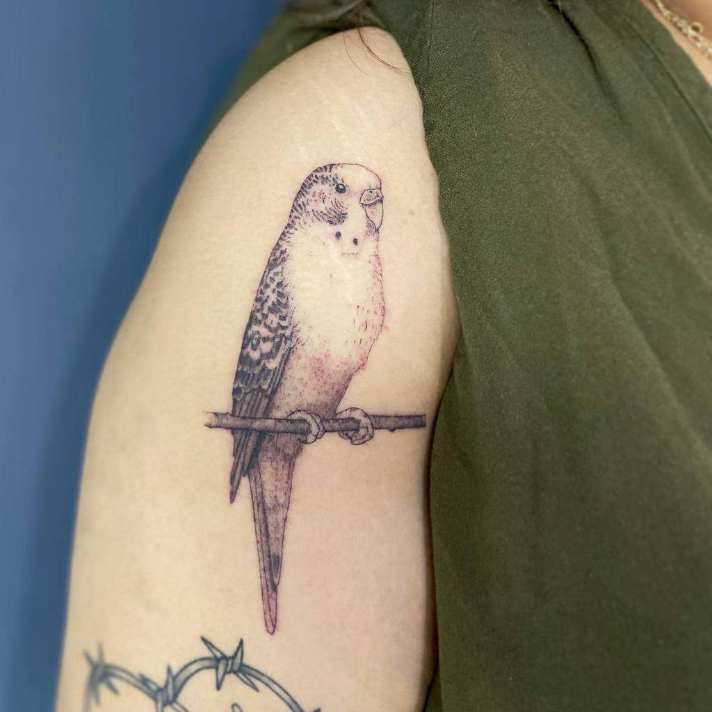 Tattoo of a perched bird on a person's arm, detailed with single needle technique
