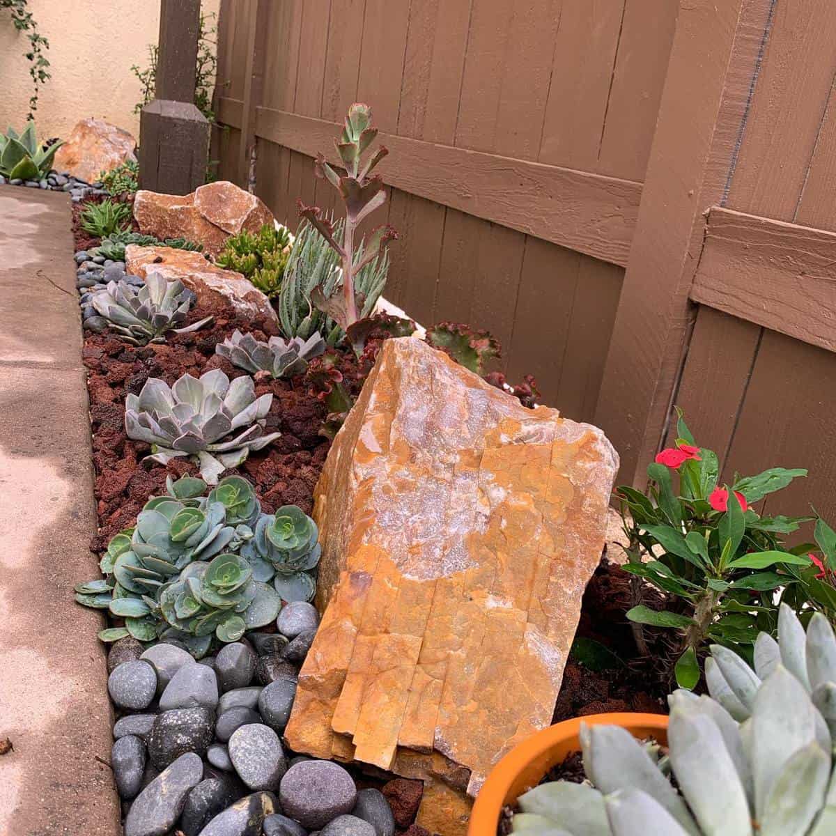 narrow succulent garden