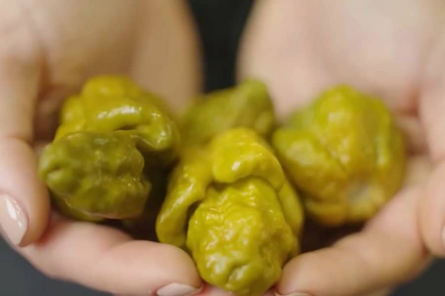 Pepper X - 3,180,000 SHU