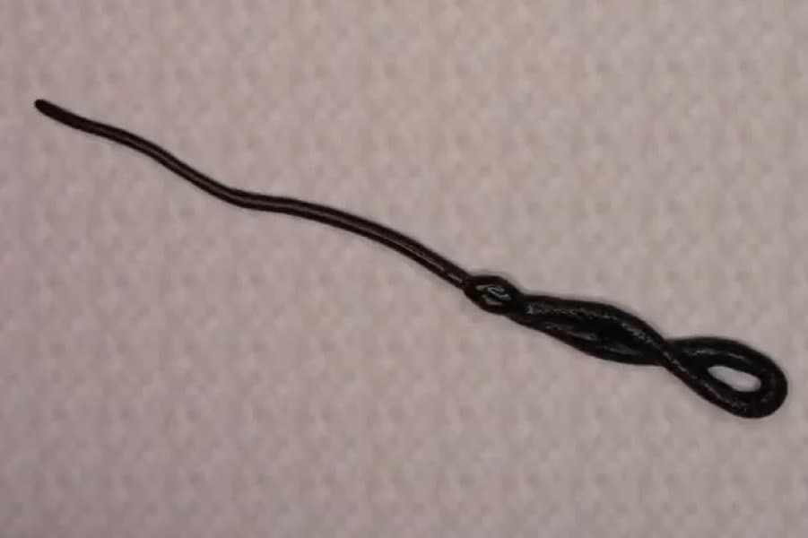 Peter Perrigrew's Wand