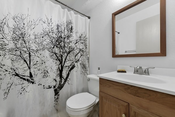 photo shower curtain