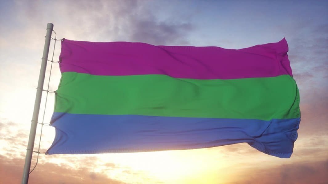 Polysexual Pride Flag