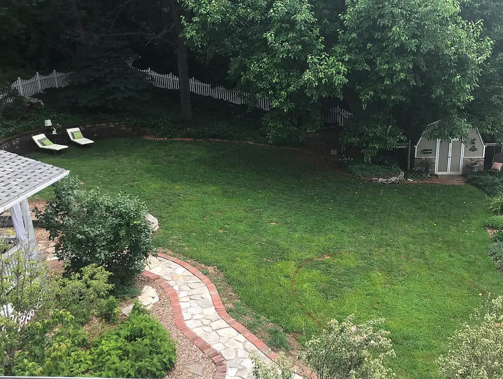 large green grass backyard garden shed paver path