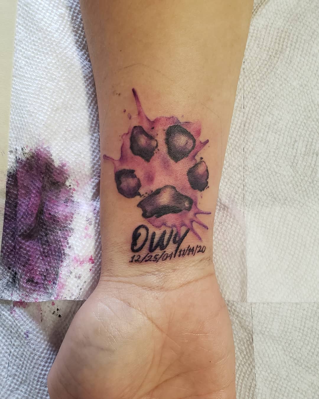 Tattoo of a pink and black paw print on a wrist with dates below it
