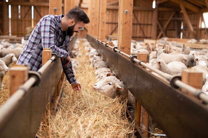 Rancher - Outdoor Jobs For Outdoorsmen