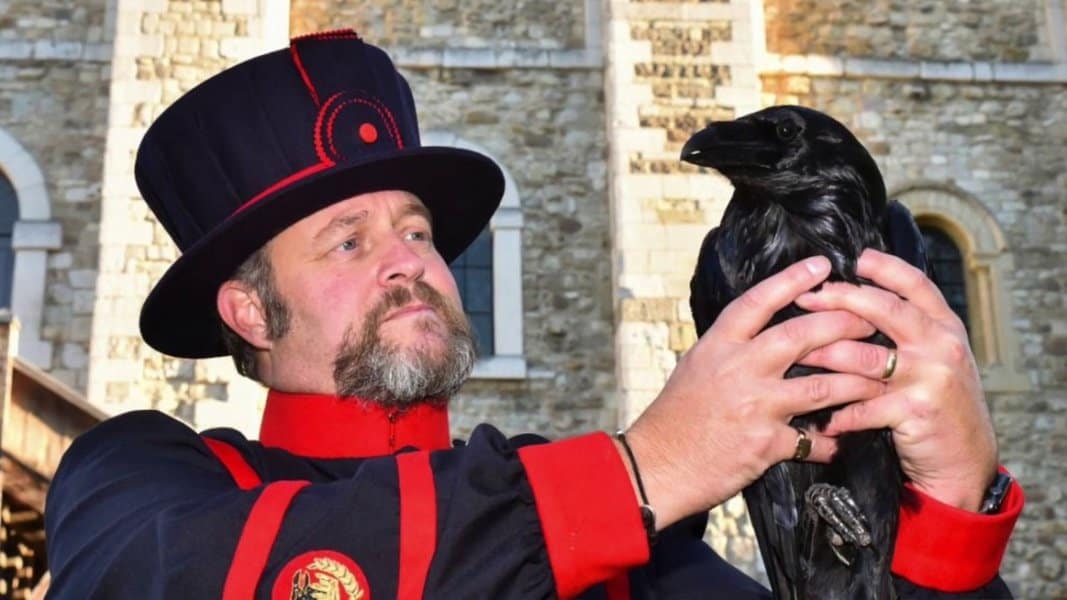Ravenmaster