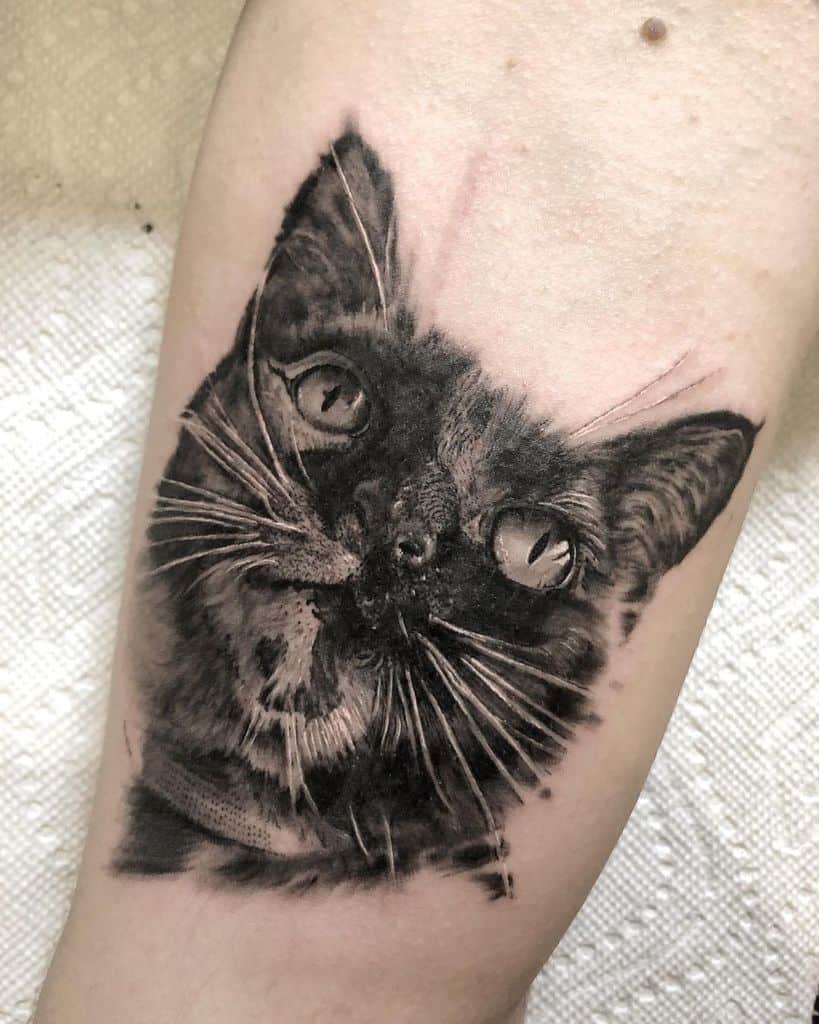 Realistic tattoo of a cat's face on a person's forearm