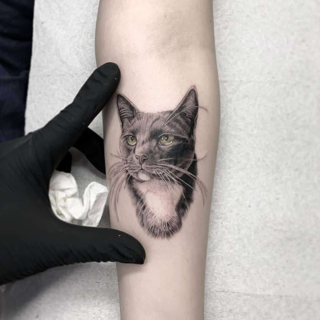 A realistic black and white cat tattoo on the forearm, showcasing detailed shading and lifelike features, with a focused and calm expression