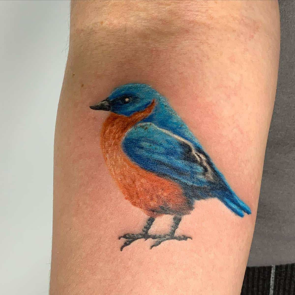 Colorful blue and orange bird tattoo on an arm