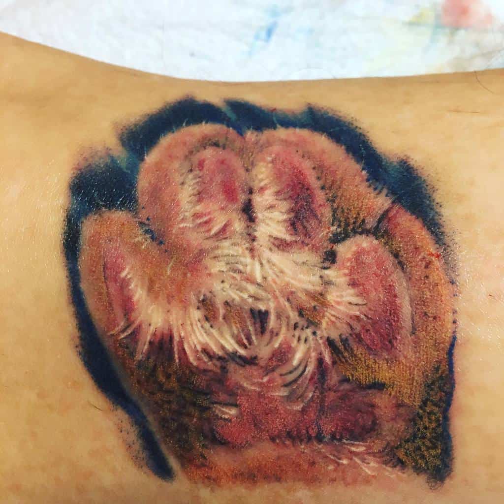 Realistic cat paw print tattoo, with detailed fur texture in shades of brown and black