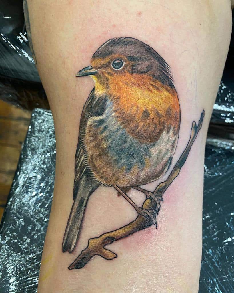 Tattoo of a detailed robin with brown and orange feathers perched on a twig