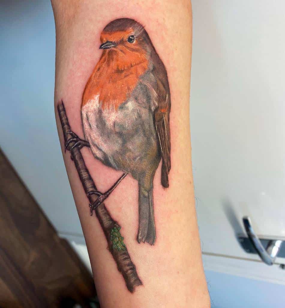 Realistic tattoo of a robin with a prominent orange chest, resting on a detailed brown branch