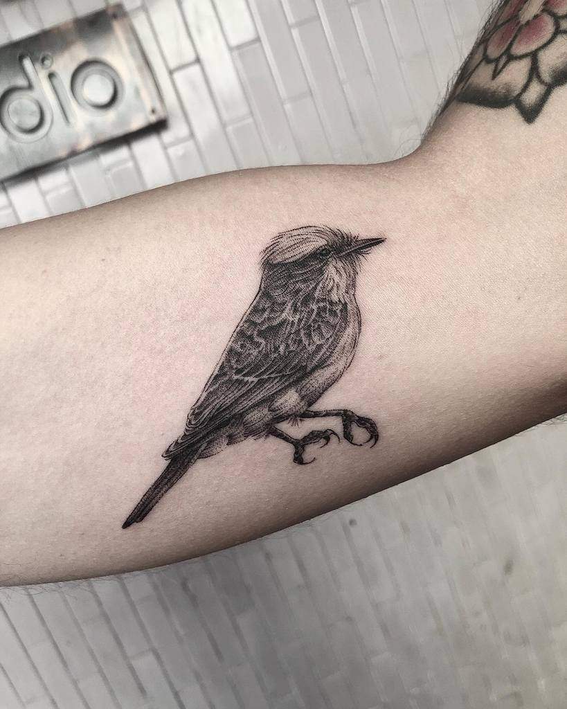 Black ink tattoo of a robin with intricate shading and fine details, blending realism and artistic style