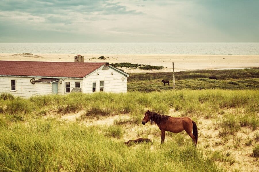 Sable Island