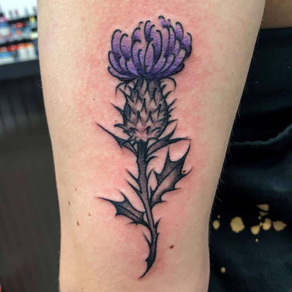 Delicate tattoo depicting a Scottish thistle with a purple bloom and detailed black leaves