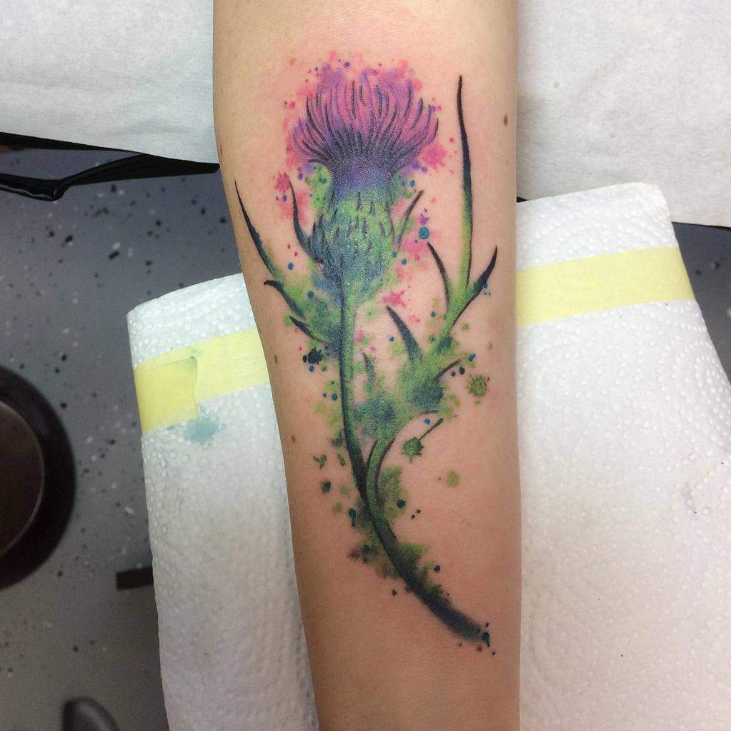 Colorful tattoo of a Scottish thistle with splashes of pink, purple, and green watercolor effects