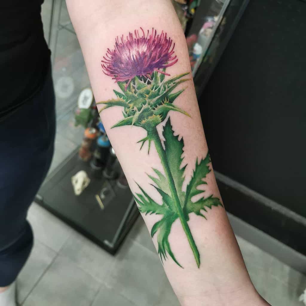 Vibrant Scottish thistle tattoo, featuring a large purple bloom atop green leaves