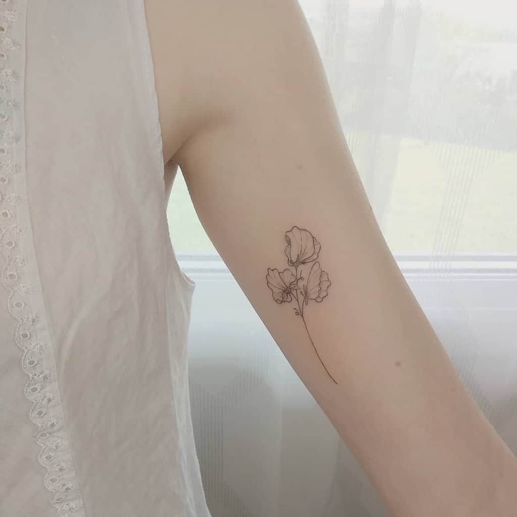 A simple, fine-line sweet pea flower tattoo on the inner arm, exuding minimalist elegance
