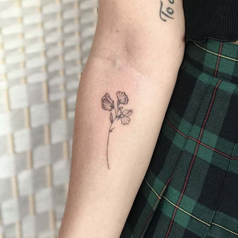 A simple, elegant sweet pea tattoo with soft outlines, creating a graceful floral design on the arm