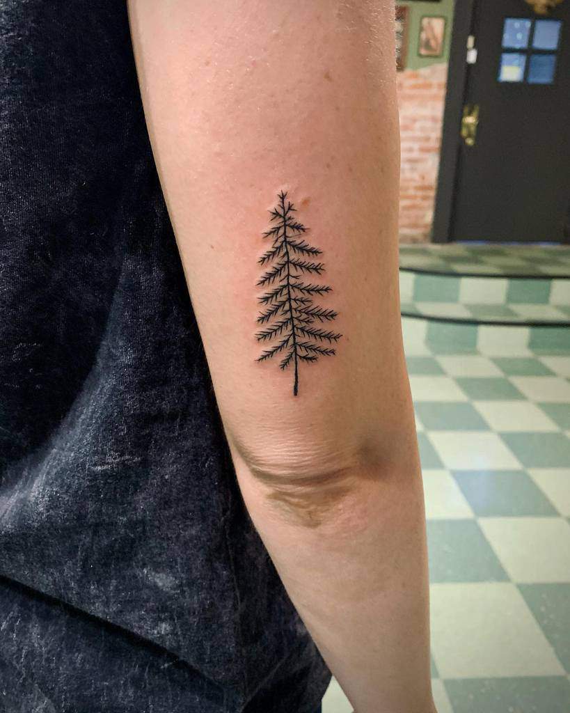 Tattoo of a detailed pine tree on an inner forearm