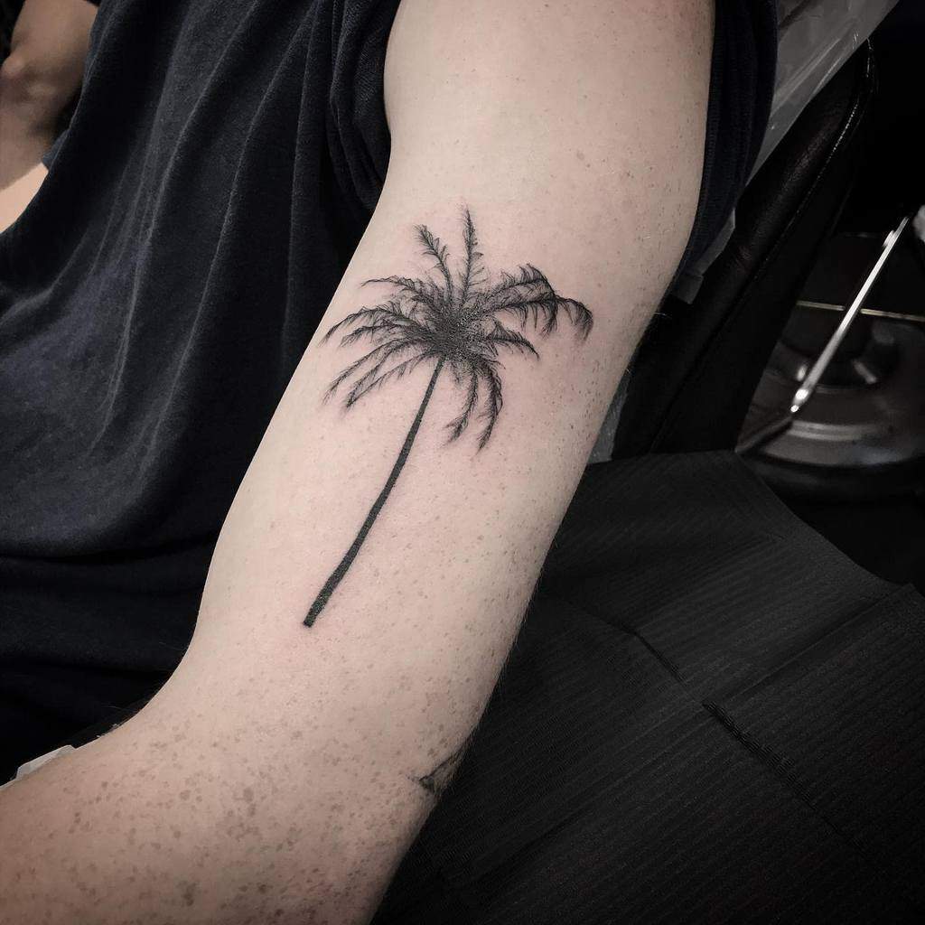 Black and grey silhouette tattoo of a palm tree on an upper arm