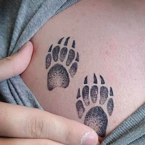 Two realistic bear paw tattoos on skin revealed by pulling down a shirt