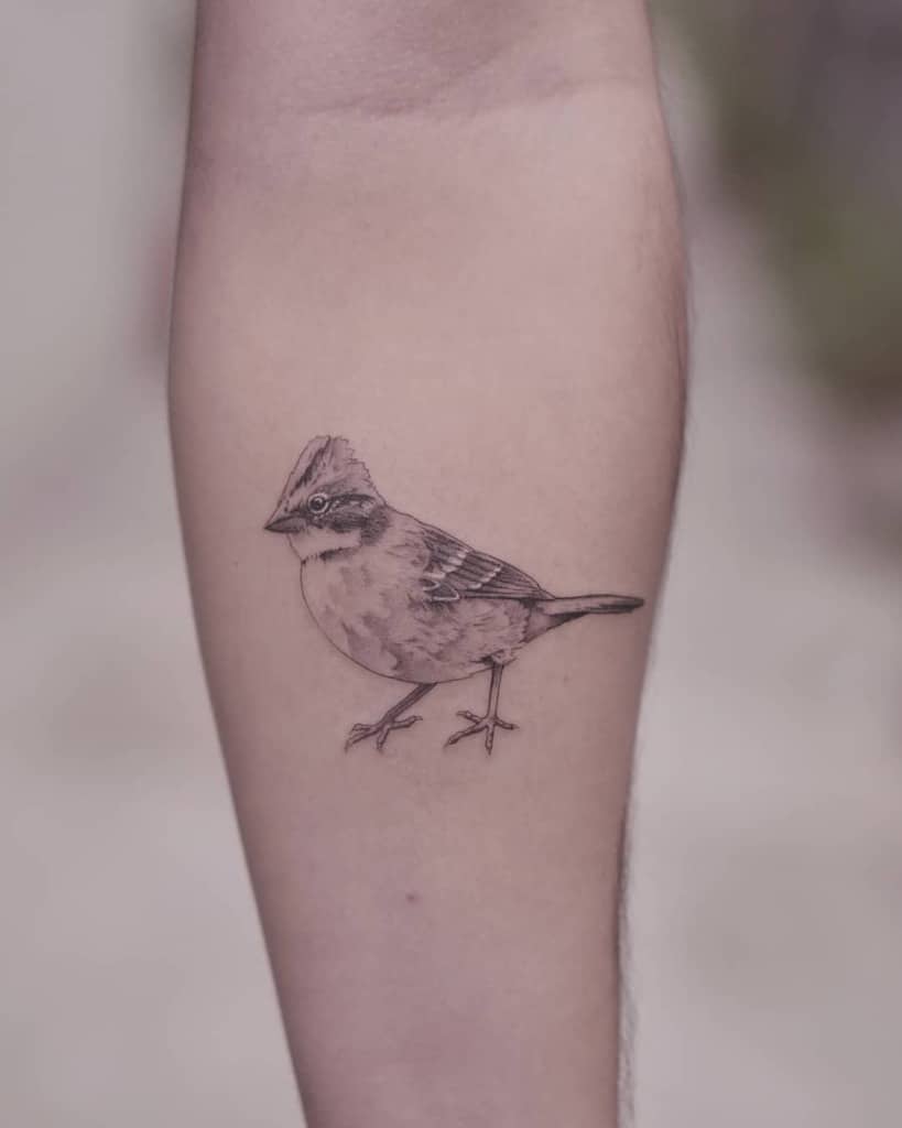 Small realistic bird tattoo on a forearm