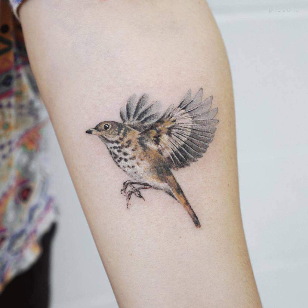 Tattoo of a bird in flight on an arm