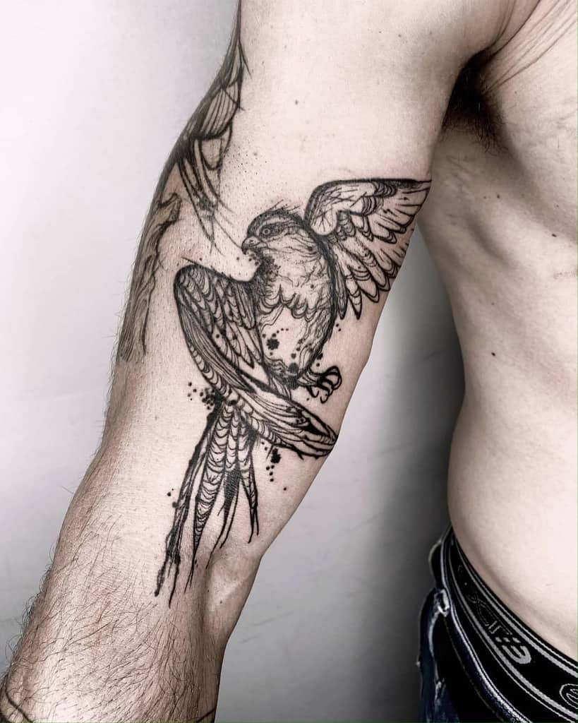 Tattoo of a detailed bird in flight on a man's upper arm