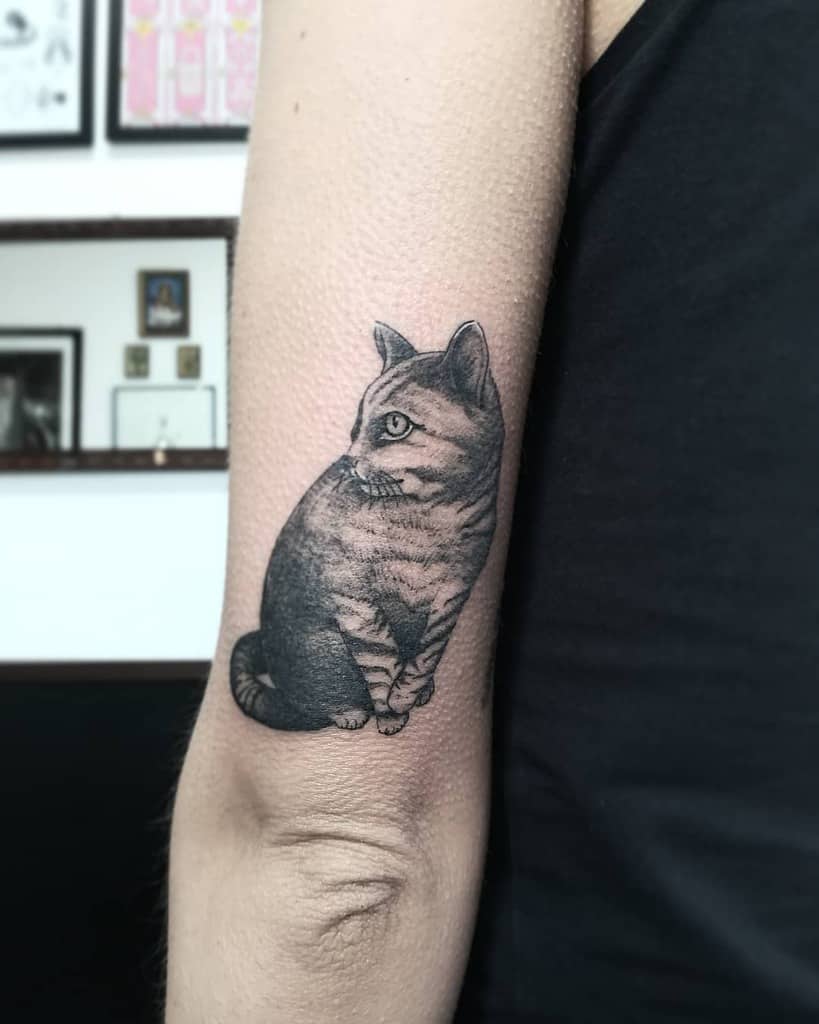 Tattoo of a sitting cat on an arm
