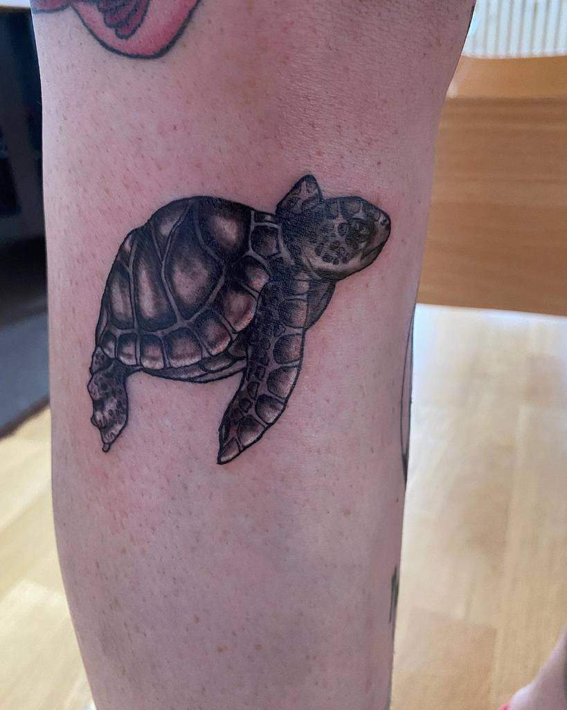 A detailed black and grey tattoo of a turtle, inked on the lower leg, showcasing realistic shading and texture
