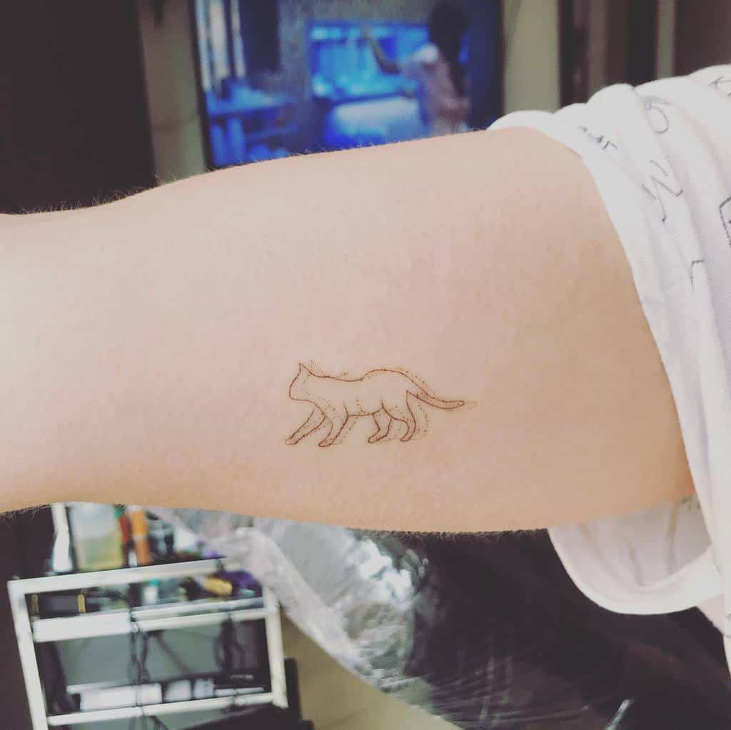 Small outline tattoo of a cat walking on an arm