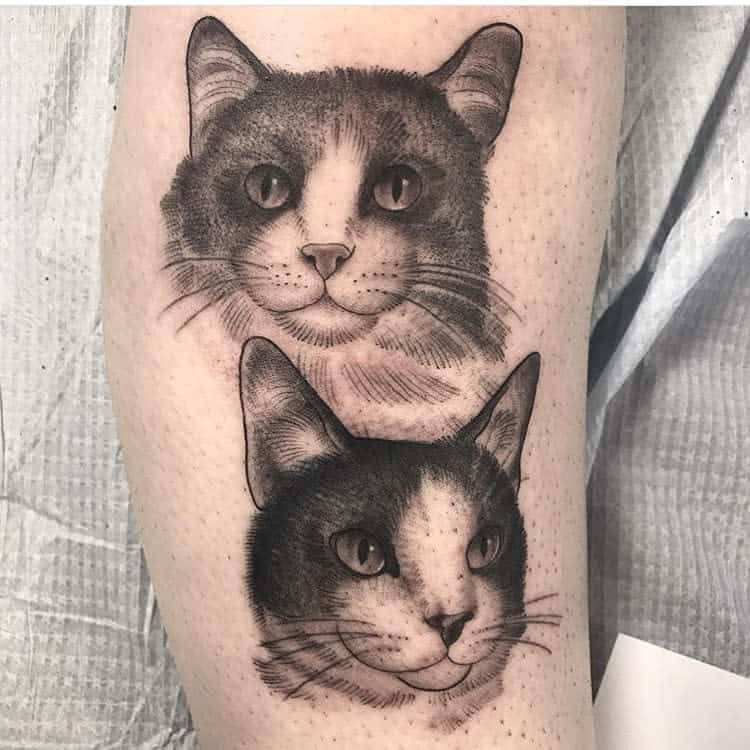 Detailed tattoo of two realistic cat portraits stacked vertically, showcasing intricate shading and lifelike expressions