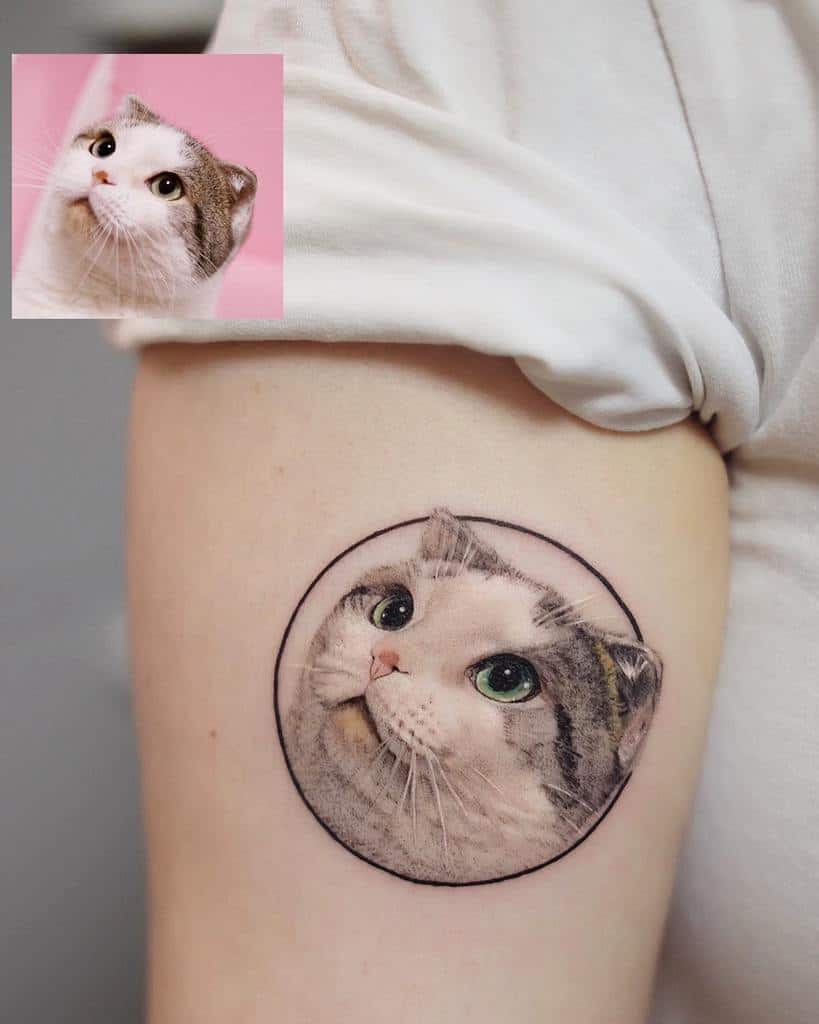 A realistic cat tattoo on an arm, showing a fluffy cat's face in a circular frame