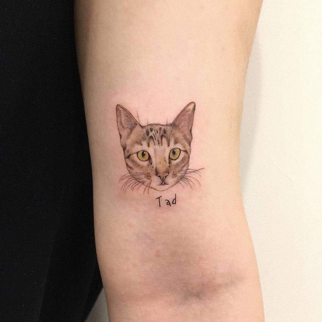 Tattoo of a cat's face with the name "Tad" on a person's arm