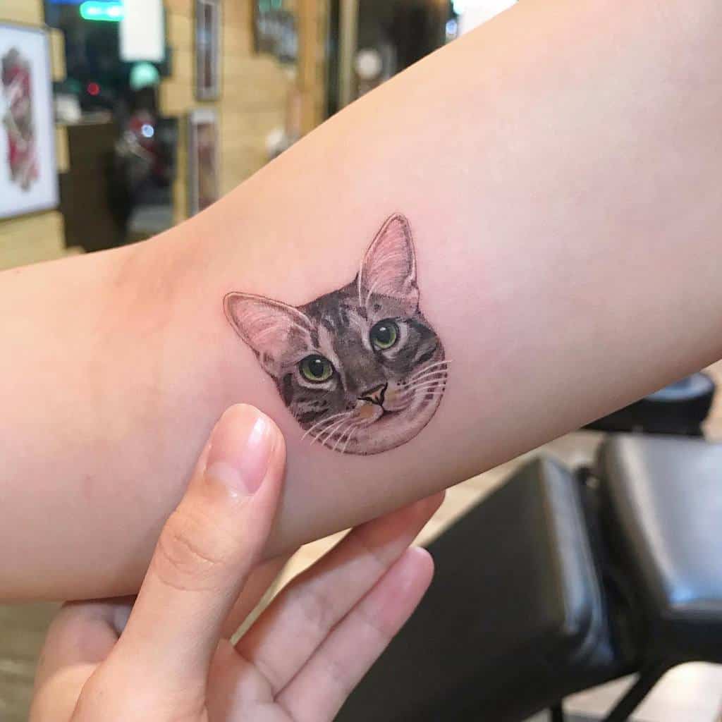 A realistic cat tattoo on a forearm