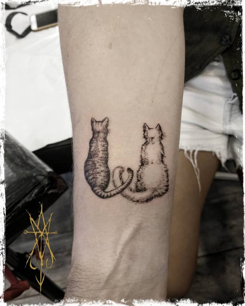 Tattoo of two cats sitting with tails intertwined on someone's arm