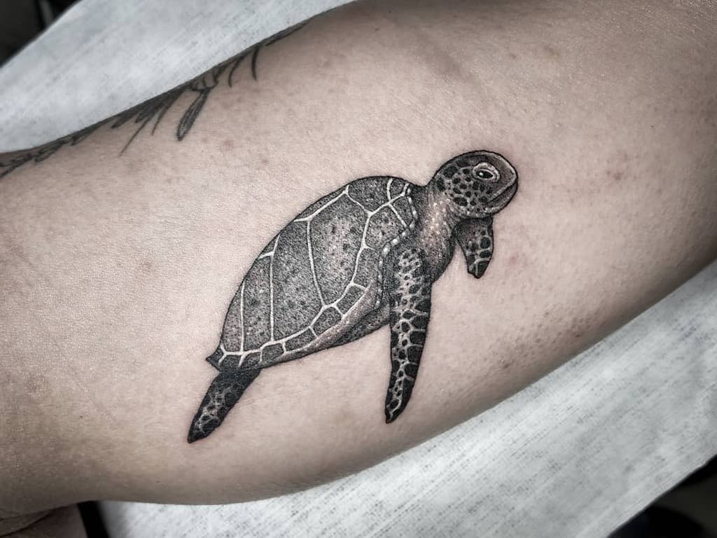 Tattoo of a detailed sea turtle on an arm