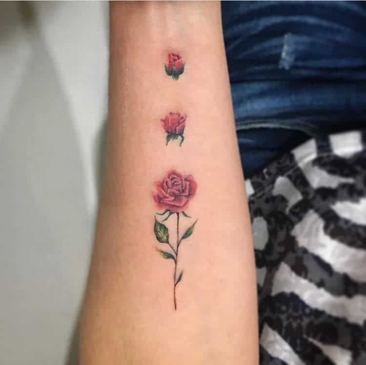 Tattoo of a blooming rose sequence on an arm, from bud to full bloom
