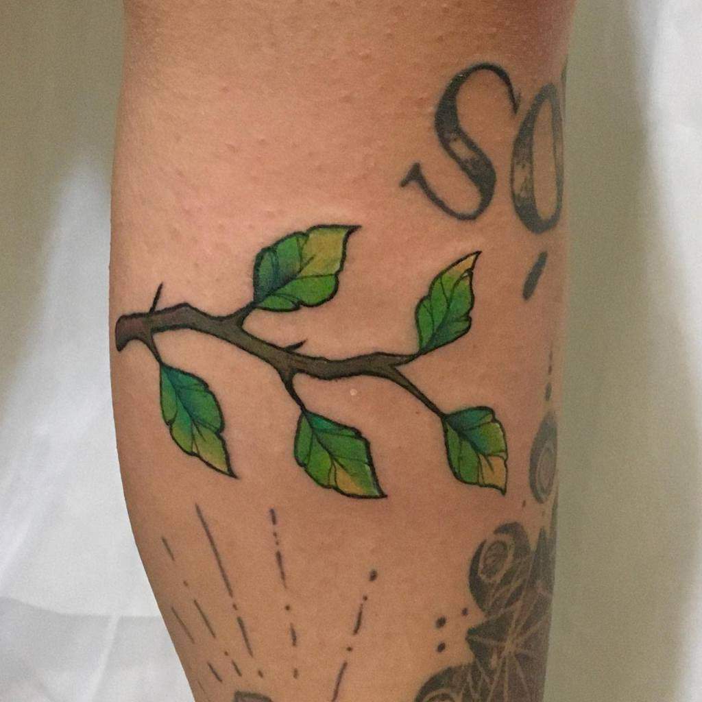 Tattoo of a slender branch with vibrant green leaves on a person's leg