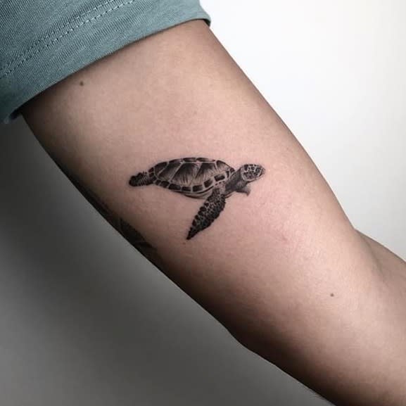 Small tattoo of a sea turtle on an upper arm