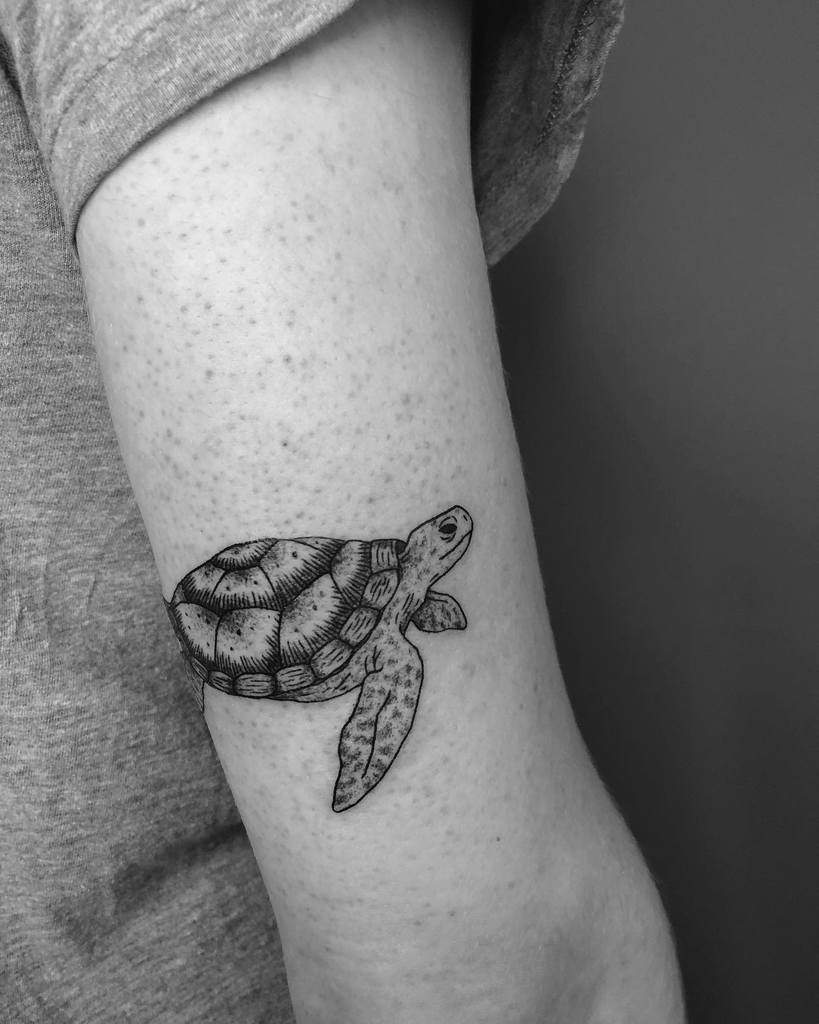 Black and gray tattoo of a turtle on an upper arm
