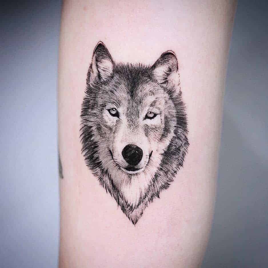 Small realistic wolf head tattoo on the forearm, featuring detailed shading and fine linework to create lifelike fur and facial expression