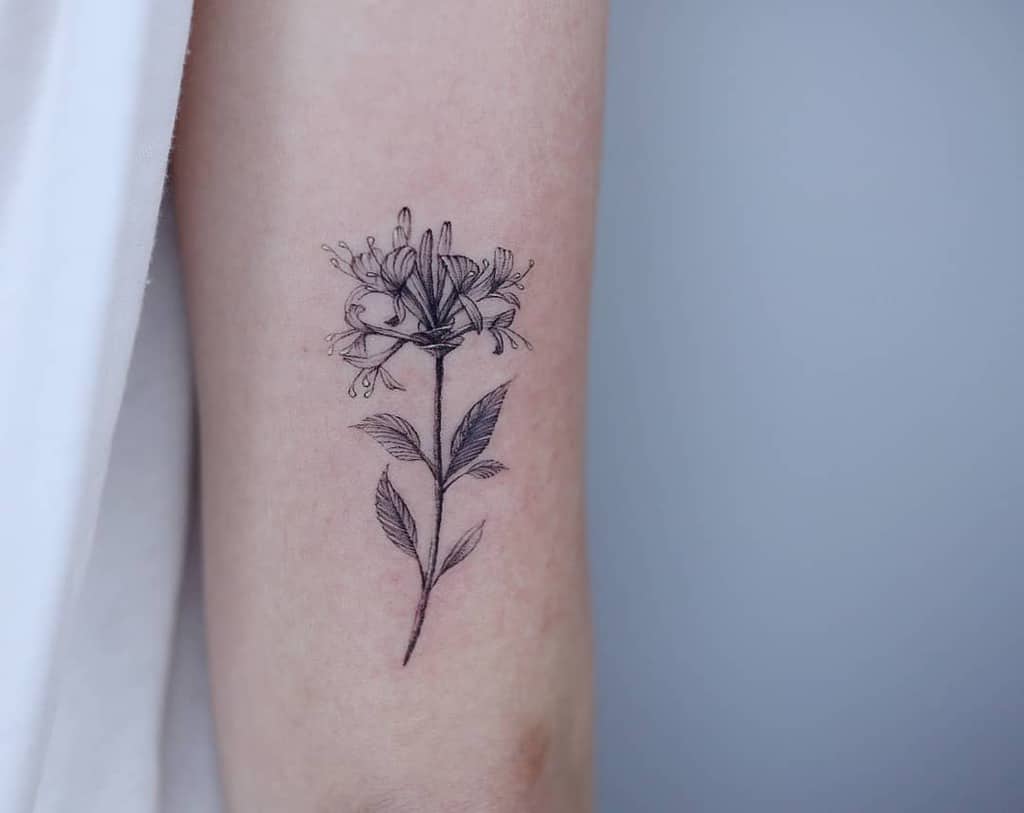 A delicate honeysuckle tattoo with fine lines and subtle shading on the inner arm